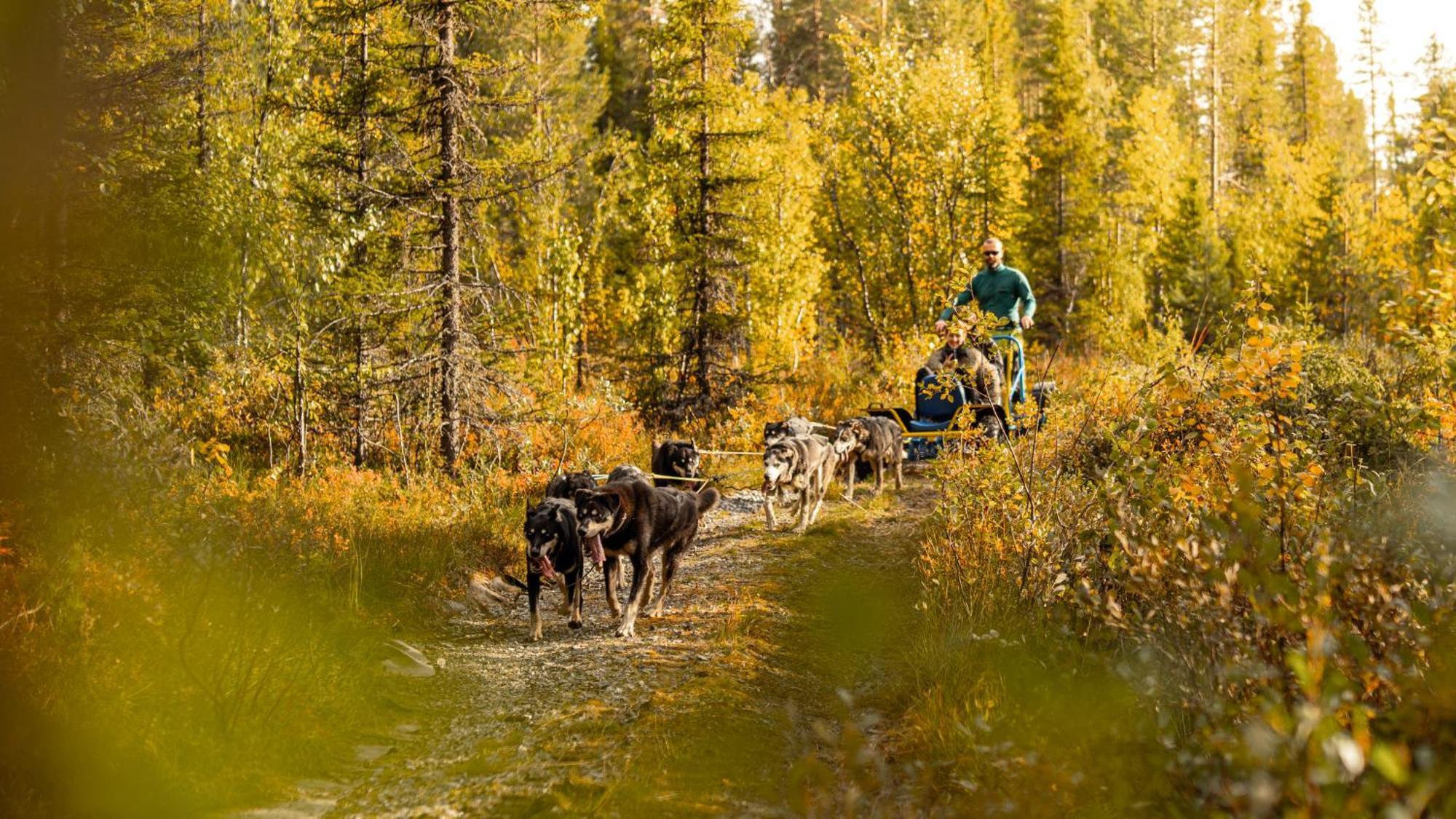 Skarsnuten Mountain Resort & Spa Hemsedal Kültér fotó